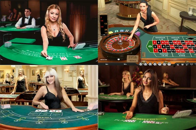 Tampilan meja permainan live dengan kartu dan dealer